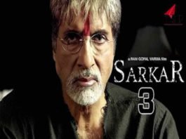 Sarkar 3 Review