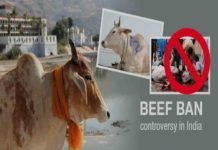 Beef Ban Controversies
