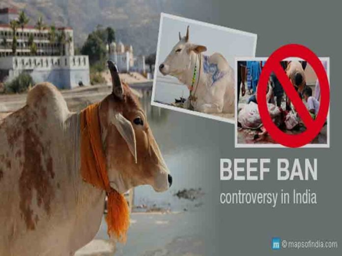 Beef Ban Controversies